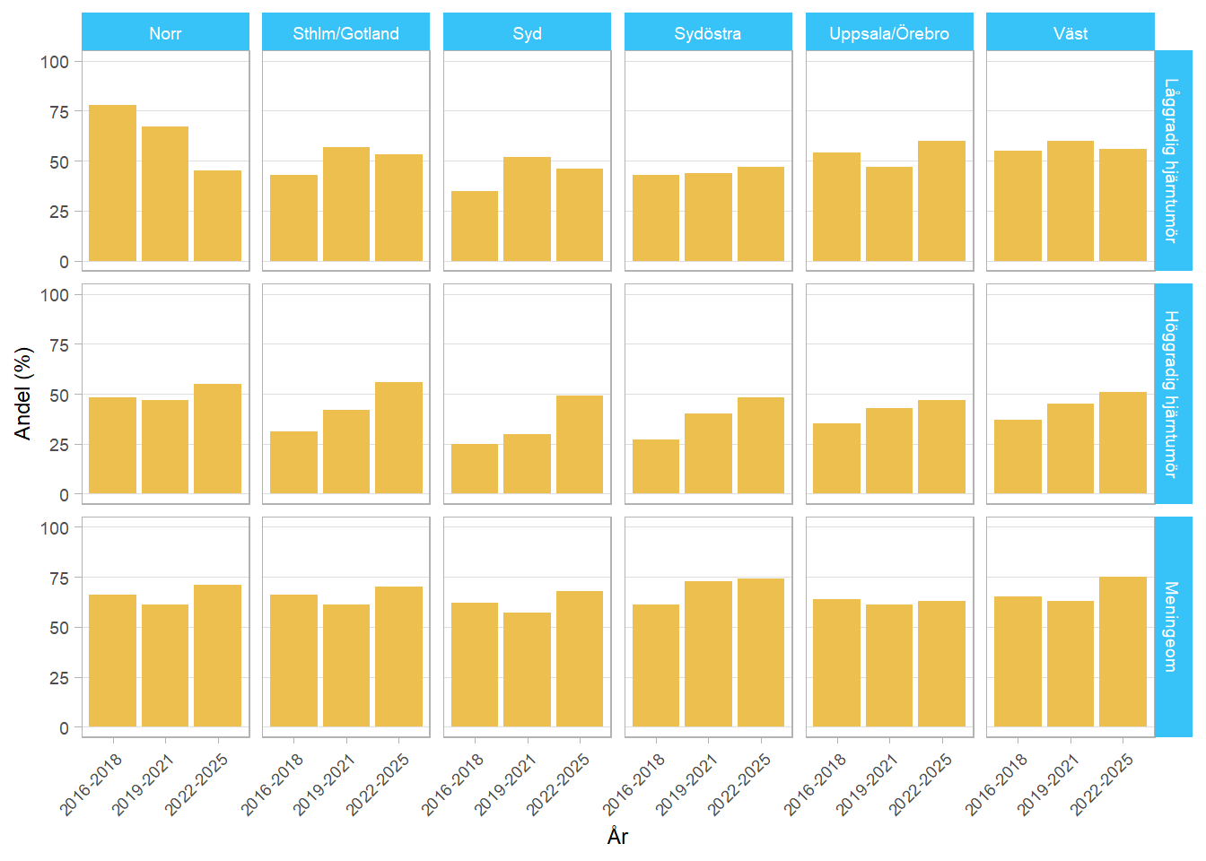 Stapeldiagram som illustrerar hur stor andel av patienterna som besvarat enkäten om patientens upplevelse och erfarenhet av vården i olika regioner, tidsperioder och diagnosgrupper.