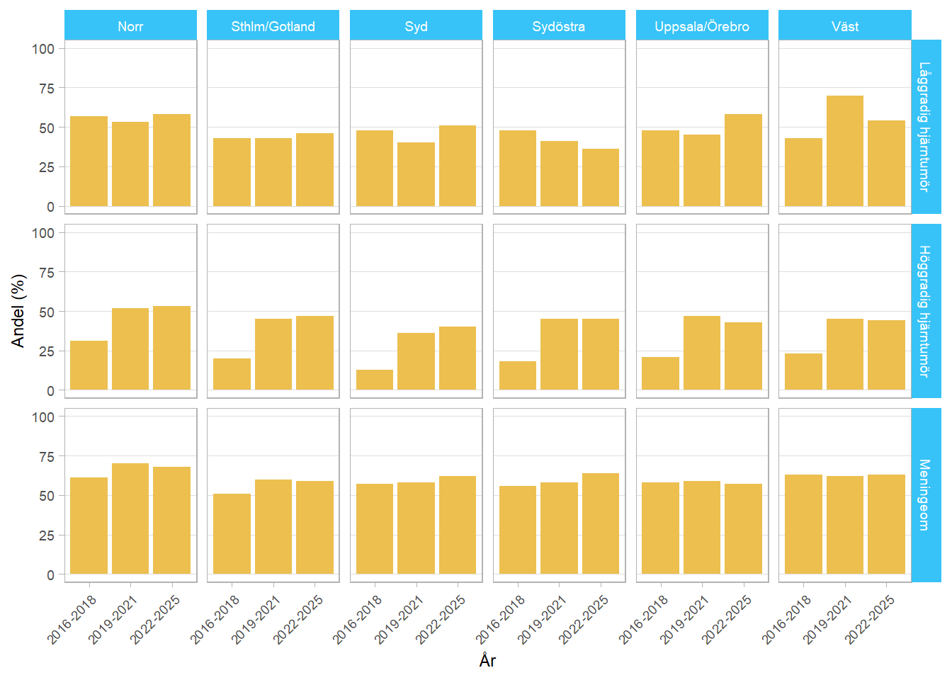 Stapeldiagram som illustrerar hur stor andel av patienterna som besvarat enkäten om patienten-rapporterade utfallsmått 12 månader efter operation i olika regioner, tidsperioder och diagnosgrupper.