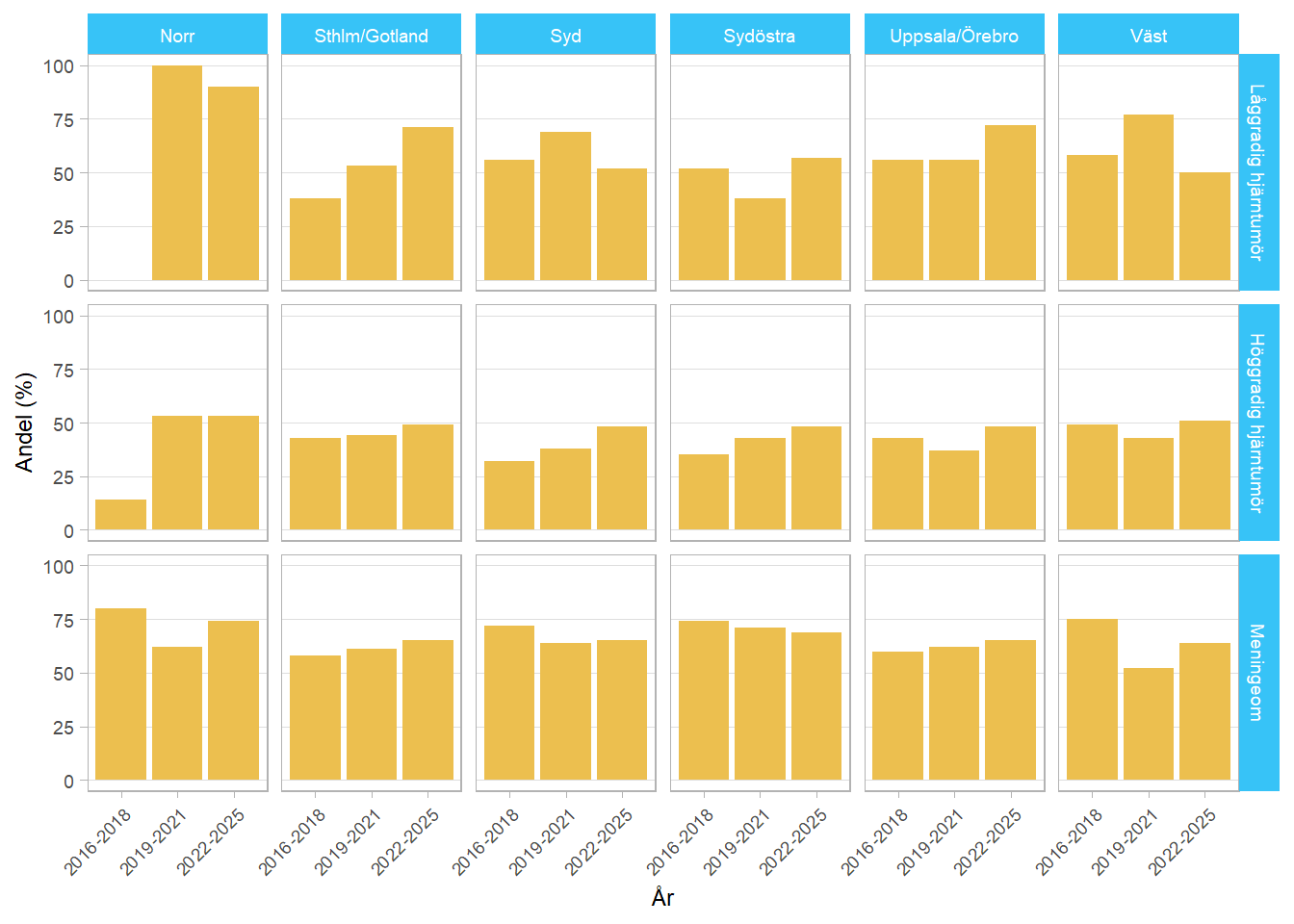 Stapeldiagram som illustrerar hur stor andel av patienterna som besvarat enkäten om patienten-rapporterade utfallsmått 3 månader efter operation i olika regioner, tidsperioder och diagnosgrupper.